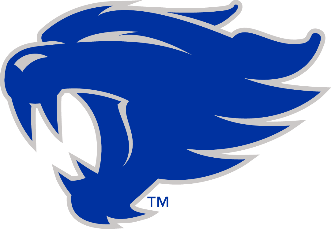 Kentucky Wildcats 2016-Pres Alternate Logo iron on heat transfers